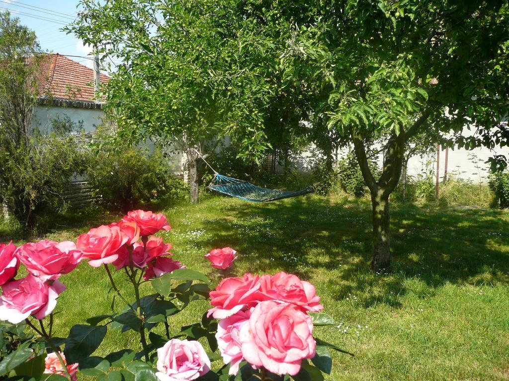 Guest House Tisza Haz Senta Ngoại thất bức ảnh