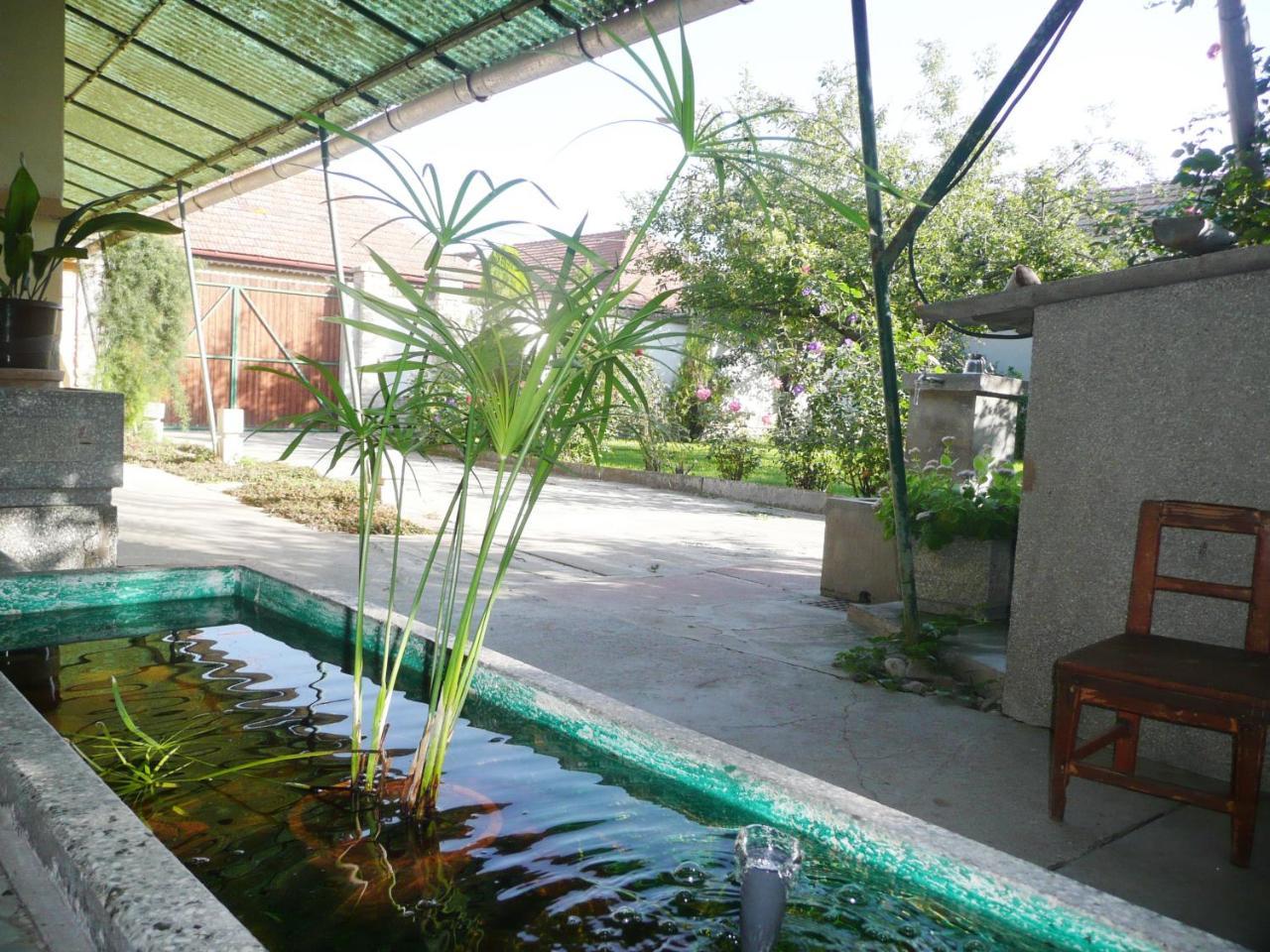 Guest House Tisza Haz Senta Ngoại thất bức ảnh